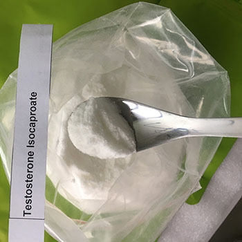 testosterone isocaproate powder Testosterone Isocaproate Powder