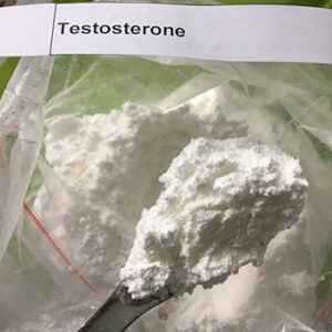 Testosterones Base Powder